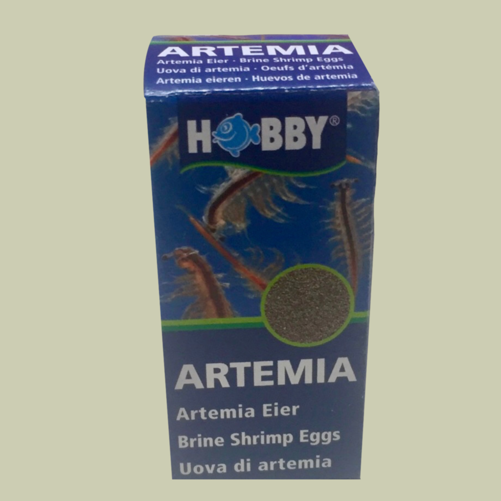 quistes de artemia hobby