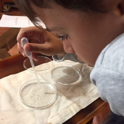 ciencia para niños y niñas