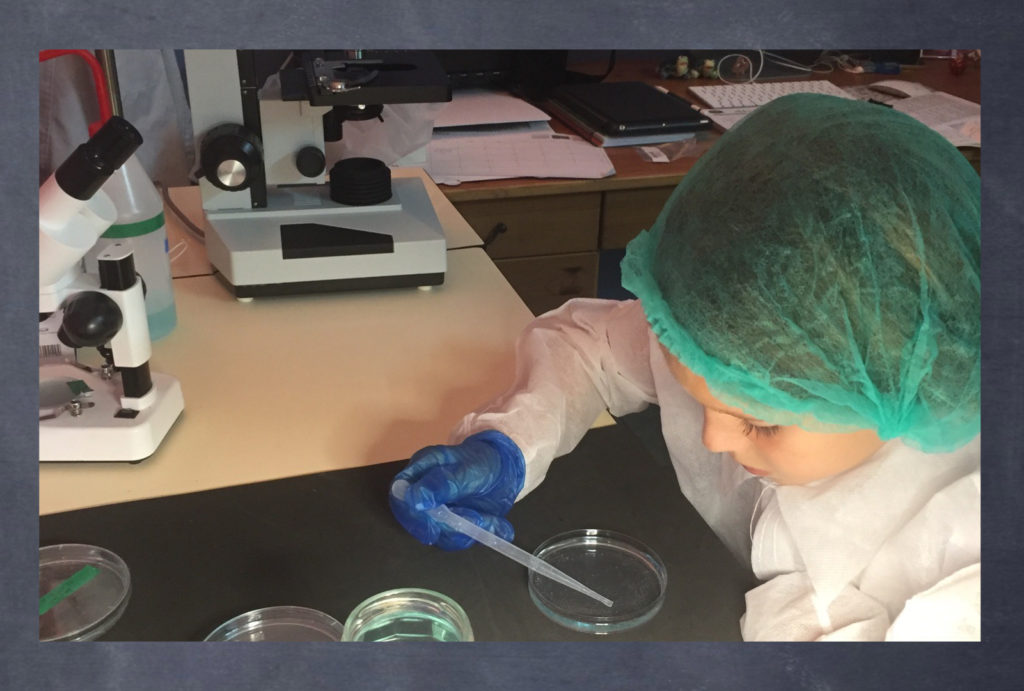 ciencia para niños