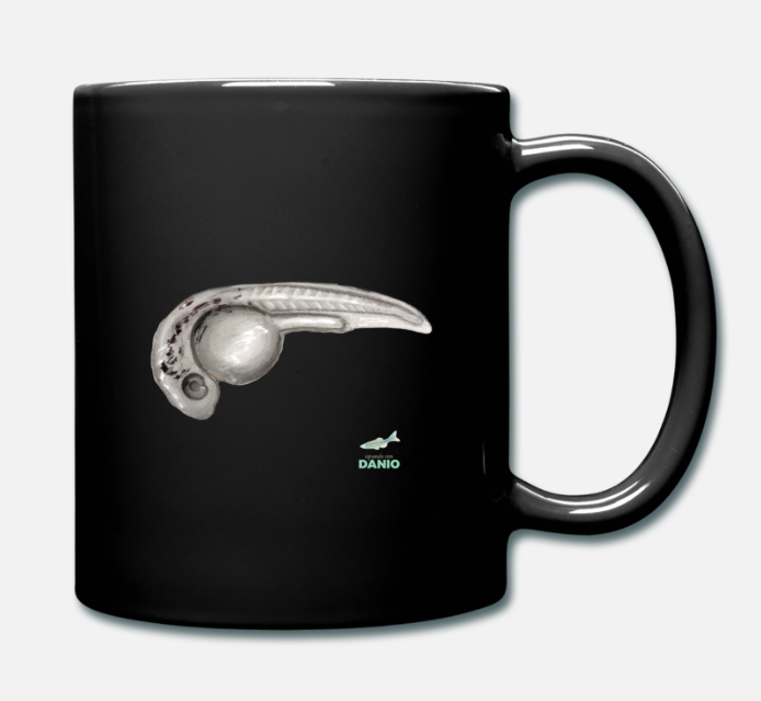 cup Danio rerio zebrafish
