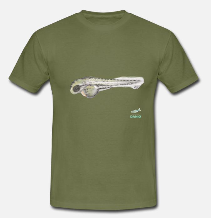 T shirt Danio rerio zebrafish