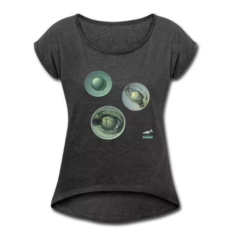 T-shirt Danio rerio zebrafish