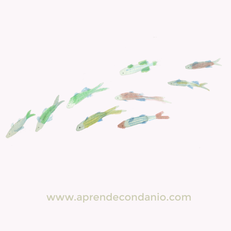 dibujo de pez para pintar