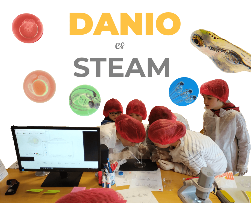 Proyectos STEAM