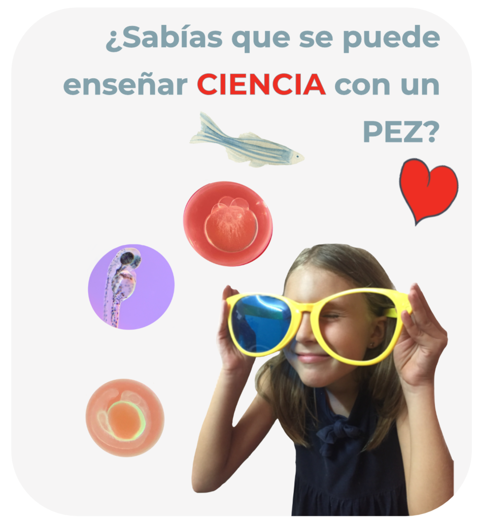 proyectos de ciencia para primaria