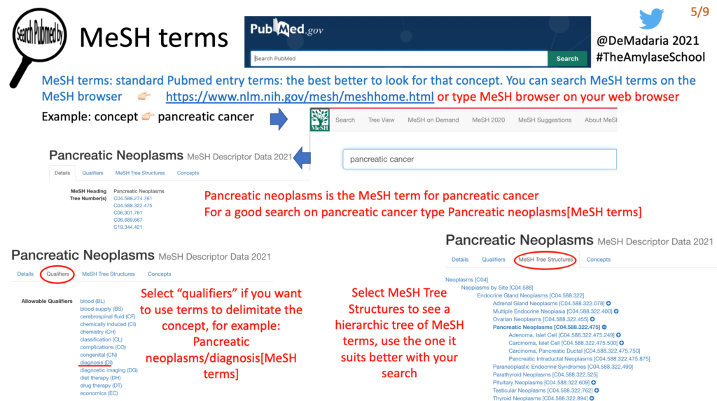 Términos MeSH en Pubmed