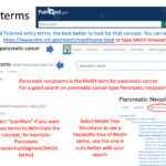 Términos MeSH en Pubmed