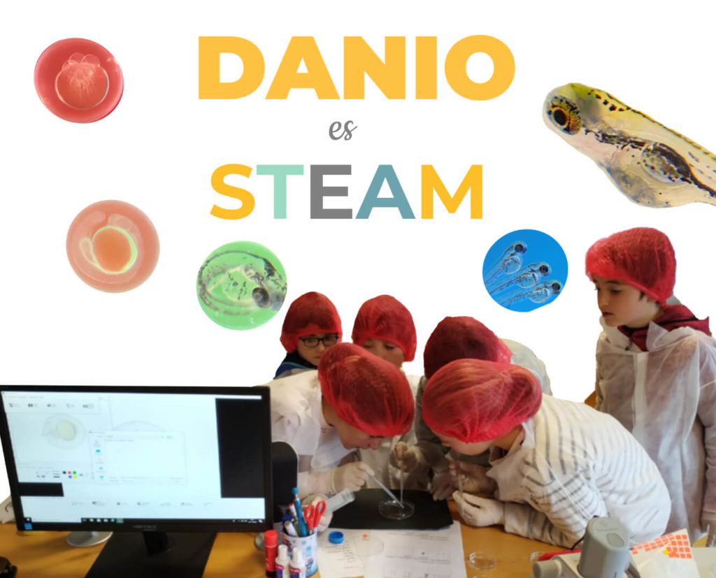 proyectos metodología STEAM