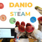 proyectos metodología STEAM
