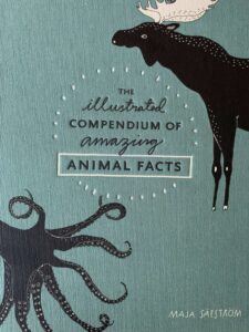 libro de animales en inglés para niños