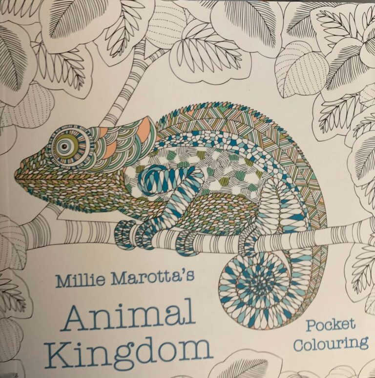 libro de animales para colorear para niños