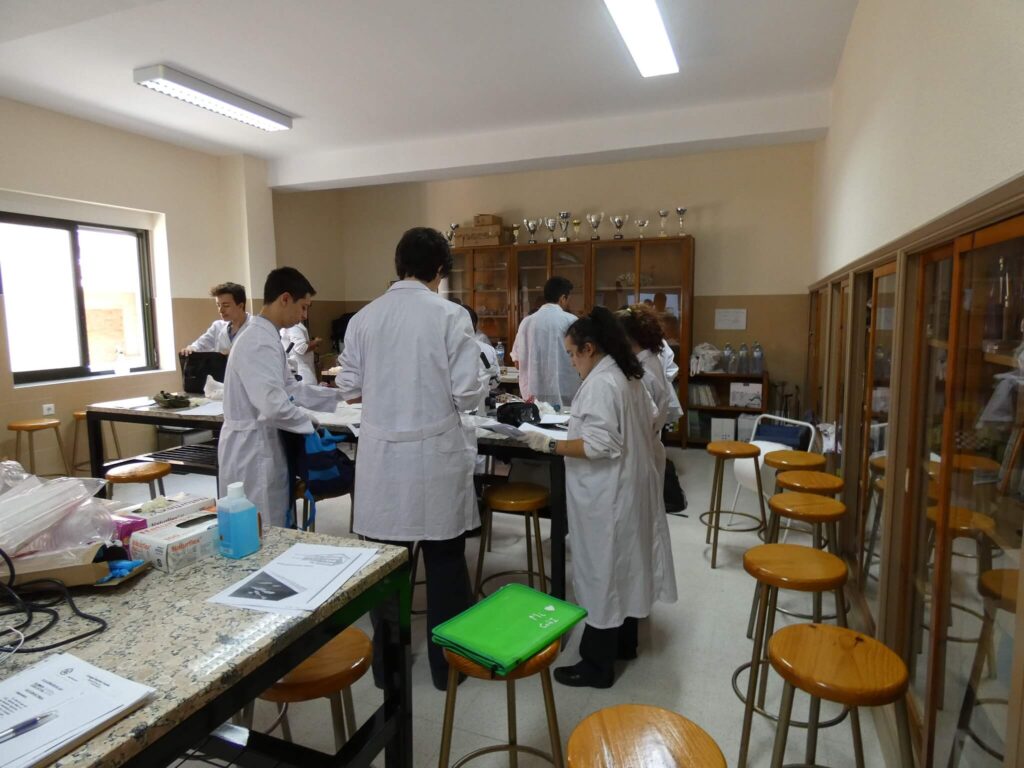 situación de aprendizaje ejemplos secundaria en pdf