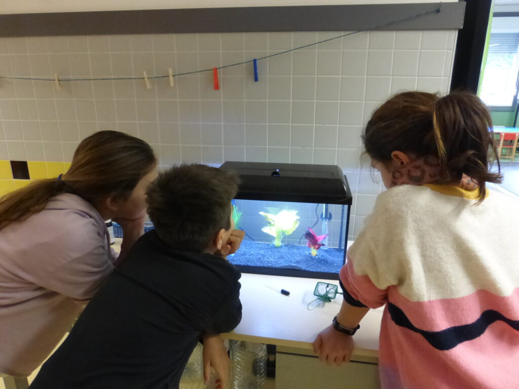ejemplos de situación de aprendizaje en infantil programación didáctica lomloe