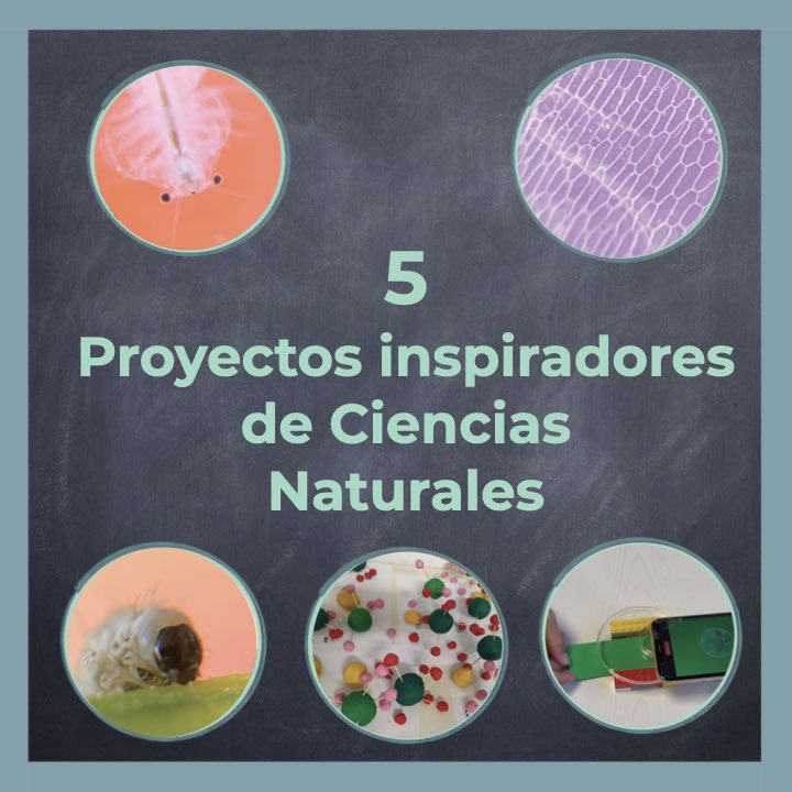 Situaciones de aprendizaje ejemplos