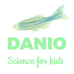 science for kids