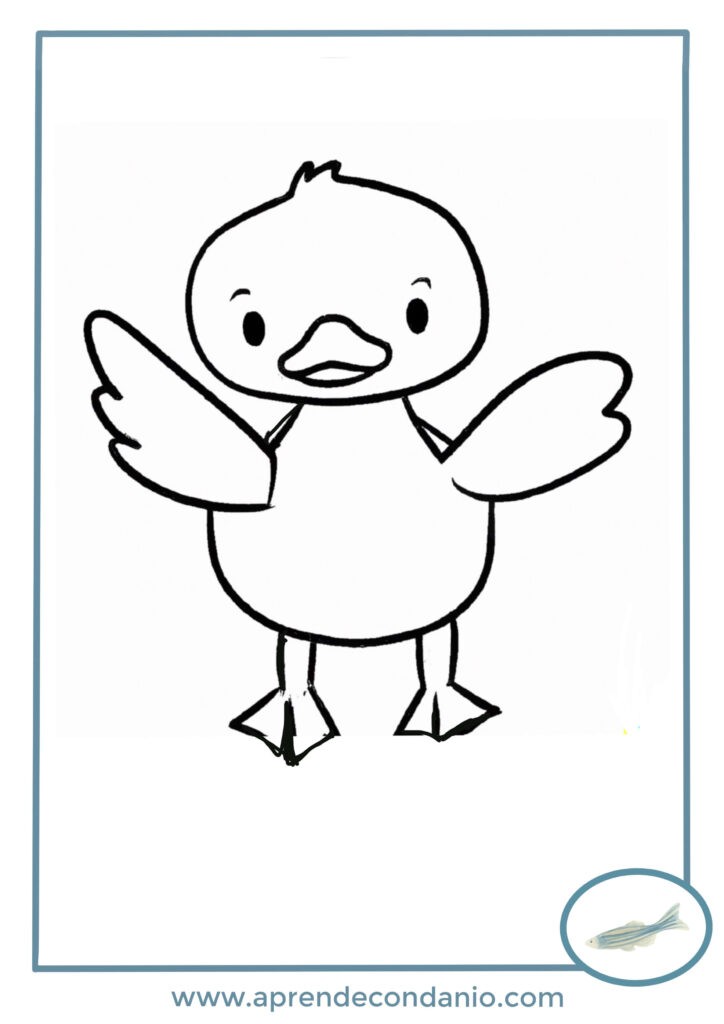 pato para dibujar