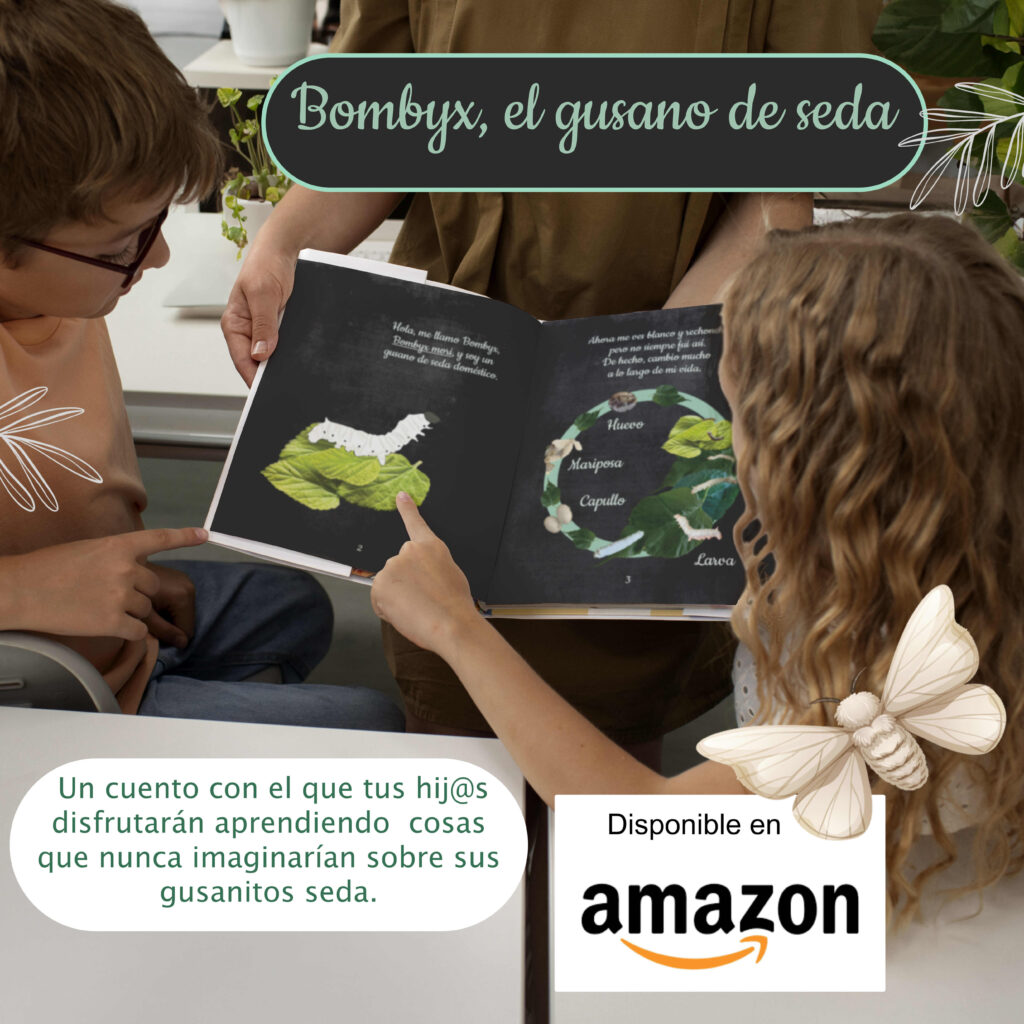 Ciclo del gusano de seda para niños