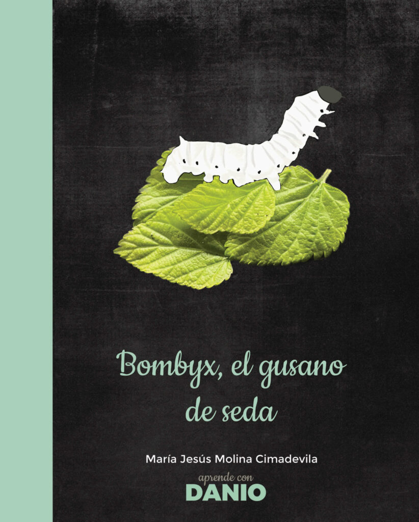 recurso docente para maestras