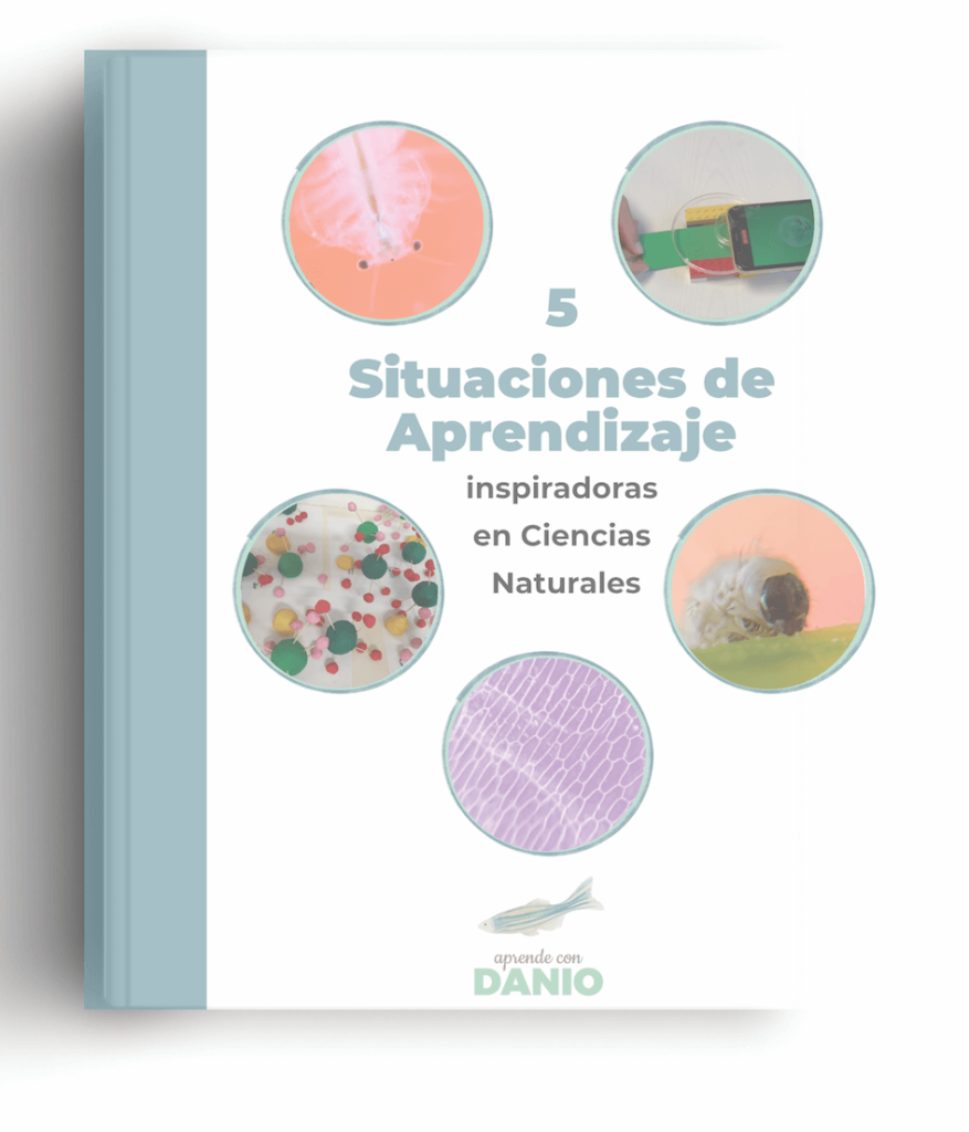 Situaciones de aprendizaje Ejemplos